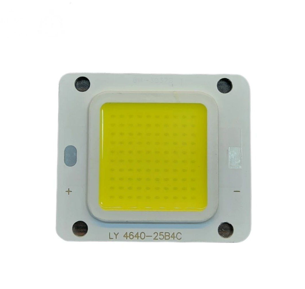 IMG_20250205_213349_698